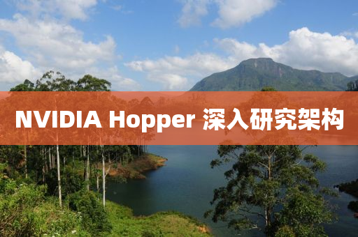 NVIDIA Hopper 深入研究架构