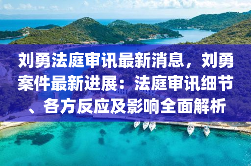 刘勇法庭审讯最新消息，刘勇案件最新进展：法庭审讯细节、各方反应及影响全面解析