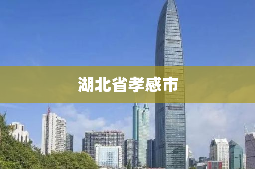 湖北省孝感市