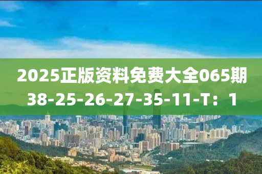 2025正版资料免费大全065期38-25-26-27-35-11-T：1