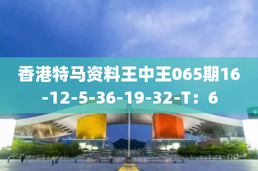 香港特马资料王中王065期16-12-5-36-19-32-T：6