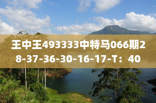 王中王493333中特马066期28-37-36-30-16-17-T：40