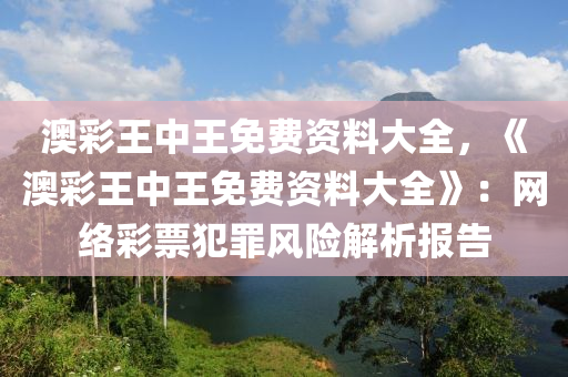 澳彩王中王免费资料大全，《澳彩王中王免费资料大全》：网络彩票犯罪风险解析报告