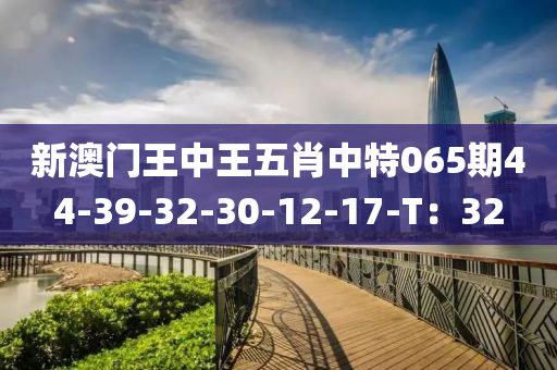 新澳门王中王五肖中特065期44-39-32-30-12-17-T：32