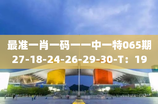 最准一肖一码一一中一特065期27-18-24-26-29-30-T：19