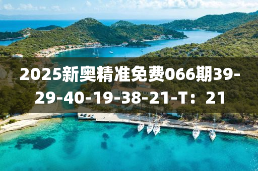 2025新奥精准免费066期39-29-40-19-38-21-T：21
