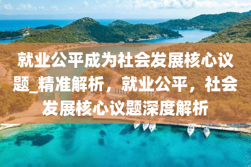 就业公平成为社会发展核心议题_精准解析，就业公平，社会发展核心议题深度解析