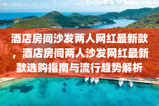 酒店房间沙发两人网红最新款，酒店房间两人沙发网红最新款选购指南与流行趋势解析
