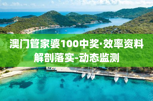 澳门管家婆100中奖·效率资料解剖落实-动态监测