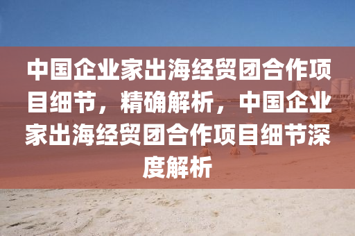 中国企业家出海经贸团合作项目细节，精确解析，中国企业家出海经贸团合作项目细节深度解析
