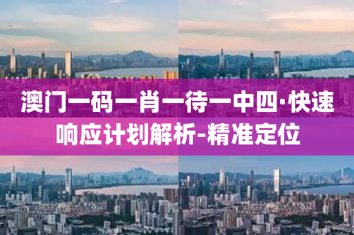 澳门一码一肖一待一中四·快速响应计划解析-精准定位