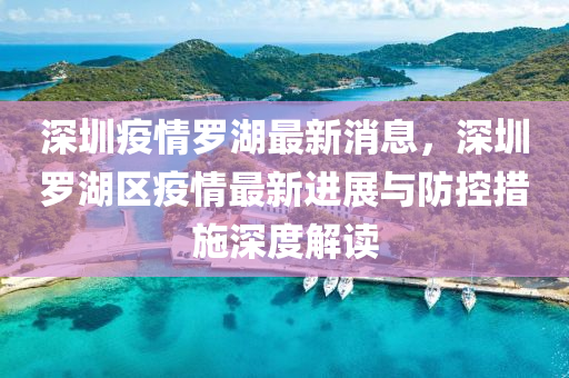 深圳疫情罗湖最新消息，深圳罗湖区疫情最新进展与防控措施深度解读