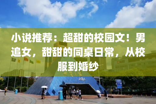 小说推荐：超甜的校园文！男追女，甜甜的同桌日常，从校服到婚纱