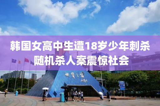 韩国女高中生遭18岁少年刺杀 随机杀人案震惊社会