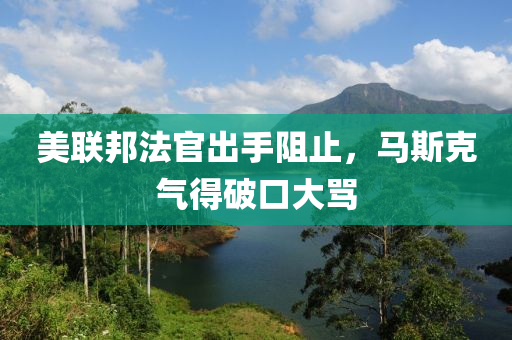 美联邦法官出手阻止，马斯克气得破口大骂
