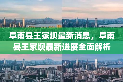 阜南县王家坝最新消息，阜南县王家坝最新进展全面解析