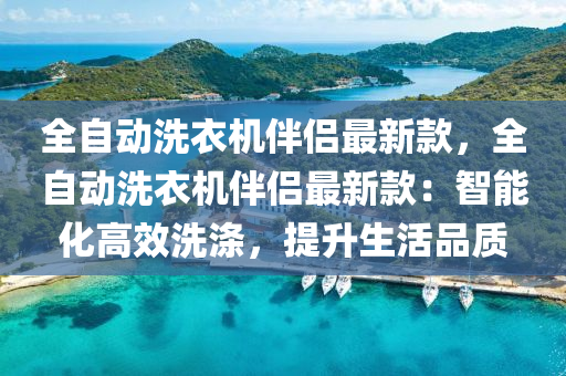 全自动洗衣机伴侣最新款，全自动洗衣机伴侣最新款：智能化高效洗涤，提升生活品质
