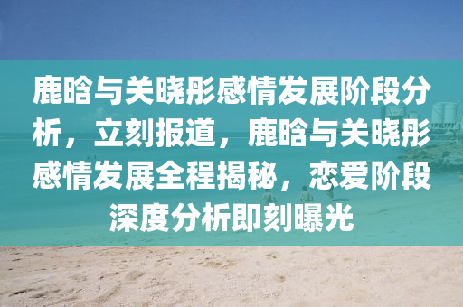 鹿晗与关晓彤感情发展阶段分析，立刻报道，鹿晗与关晓彤感情发展全程揭秘，恋爱阶段深度分析即刻曝光