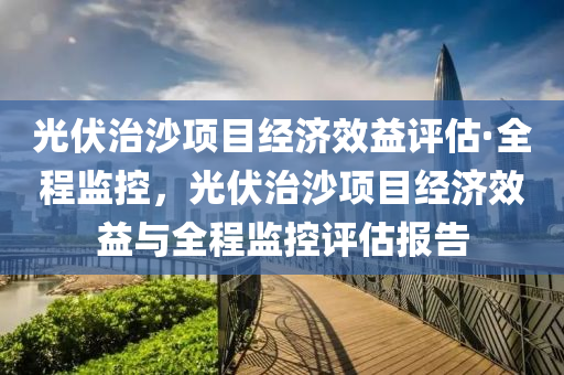 光伏治沙项目经济效益评估·全程监控，光伏治沙项目经济效益与全程监控评估报告