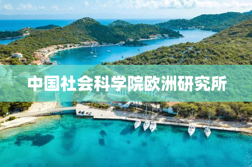 中国社会科学院欧洲研究所
