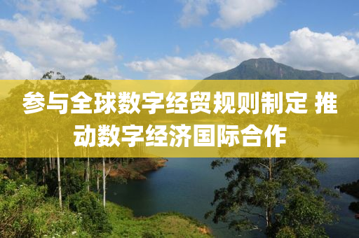 参与全球数字经贸规则制定 推动数字经济国际合作