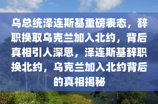 乌总统泽连斯基重磅表态，辞职换取乌克兰加入北约，背后真相引人深思，泽连斯基辞职换北约，乌克兰加入北约背后的真相揭秘