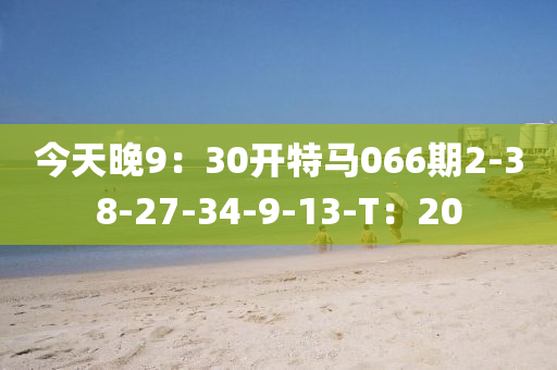 今天晚9：30开特马066期2-38-27-34-9-13-T：20