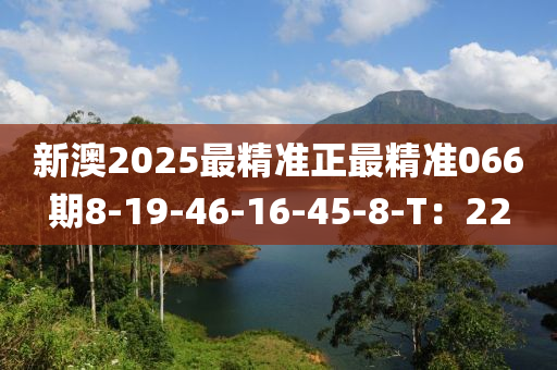 新澳2025最精准正最精准066期8-19-46-16-45-8-T：22