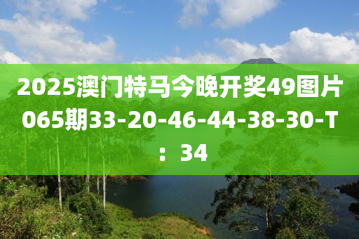 2025澳门特马今晚开奖49图片065期33-20-46-44-38-30-T：34
