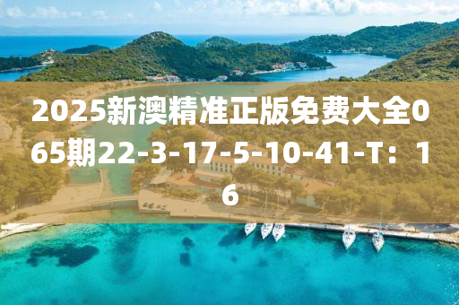 2025新澳精准正版免费大全065期22-3-17-5-10-41-T：16