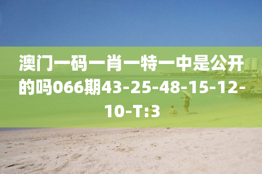 澳门一码一肖一特一中是公开的吗066期43-25-48-15-12-10-T:3