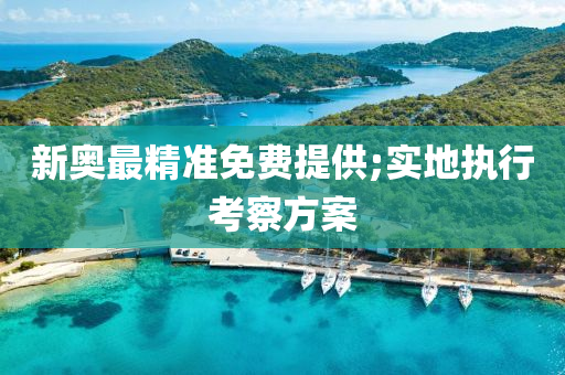 新奥最精准免费提供;实地执行考察方案
