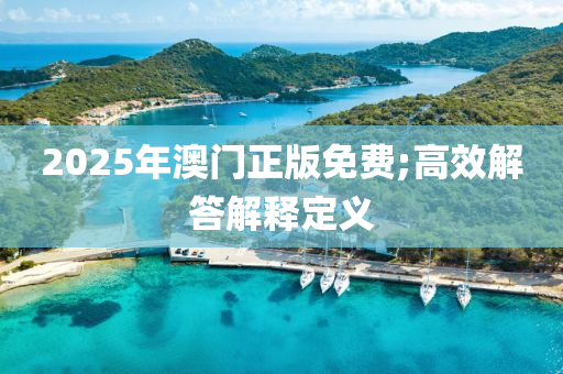 2025年澳门正版免费;高效解答解释定义