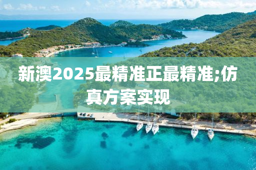 新澳2025最精准正最精准;仿真方案实现