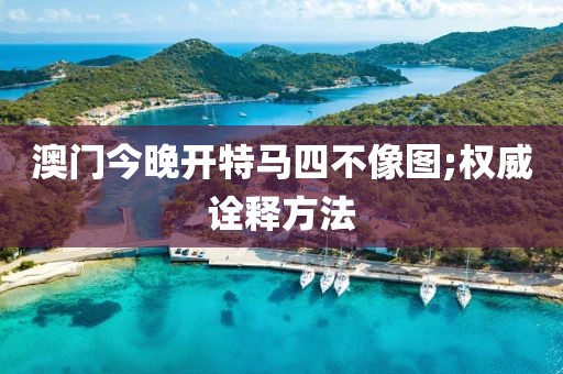 澳门今晚开特马四不像图;权威诠释方法