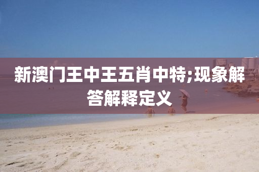 新澳门王中王五肖中特;现象解答解释定义