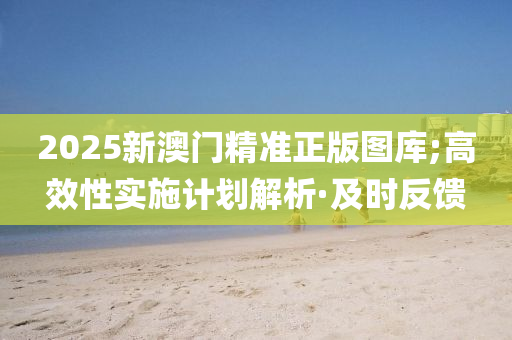 2025新澳门精准正版图库;高效性实施计划解析·及时反馈