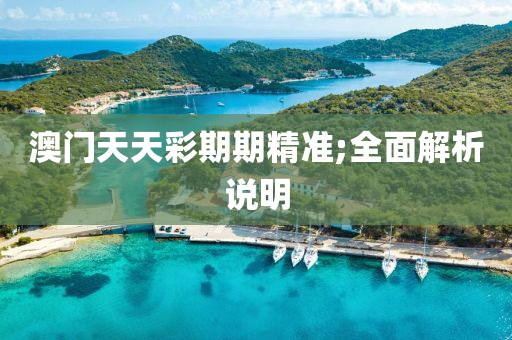 澳门天天彩期期精准;全面解析说明