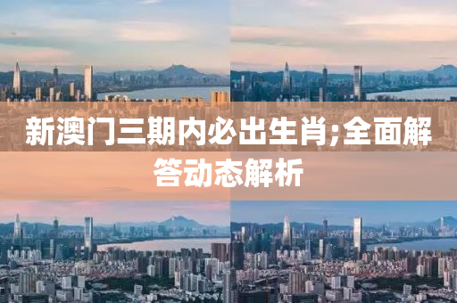 新澳门三期内必出生肖;全面解答动态解析