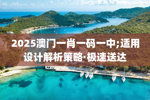 2025澳门一肖一码一中;适用设计解析策略·极速送达