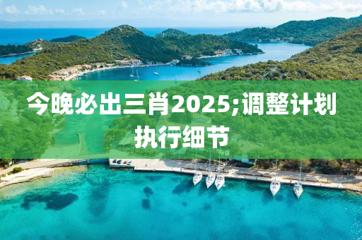 今晚必出三肖2025;调整计划执行细节