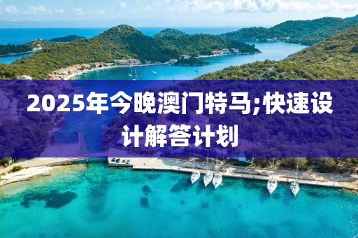 2025年今晚澳门特马;快速设计解答计划