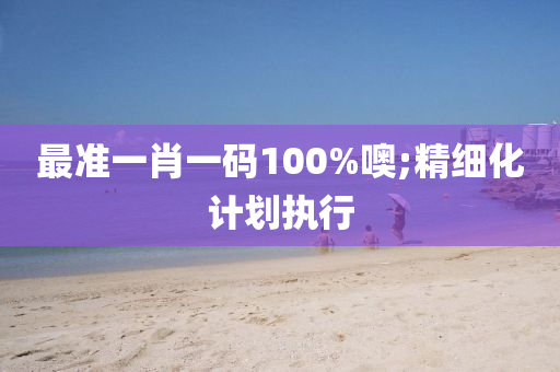 最准一肖一码100%噢;精细化计划执行