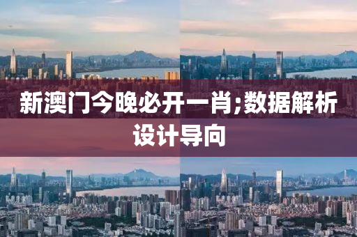 新澳门今晚必开一肖;数据解析设计导向