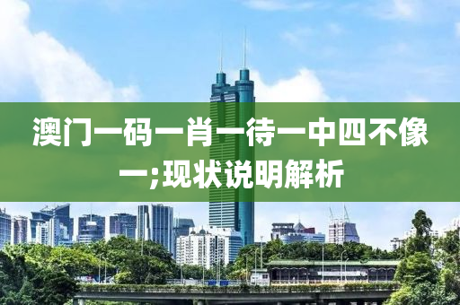 澳门一码一肖一待一中四不像一;现状说明解析