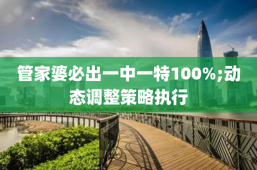 管家婆必出一中一特100%;动态调整策略执行