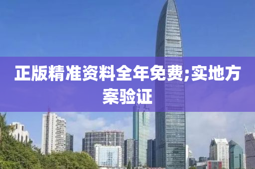 正版精准资料全年免费;实地方案验证