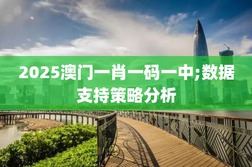 2025澳门一肖一码一中;数据支持策略分析