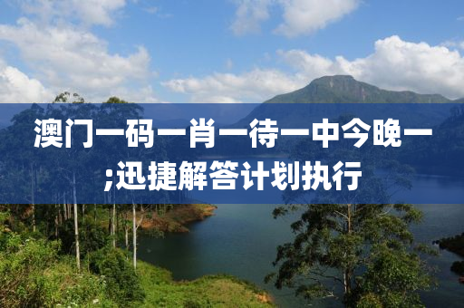 澳门一码一肖一待一中今晚一;迅捷解答计划执行
