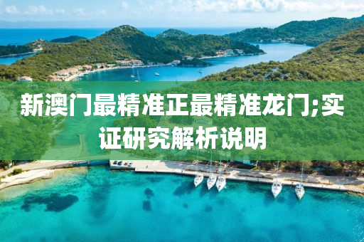 新澳门最精准正最精准龙门;实证研究解析说明